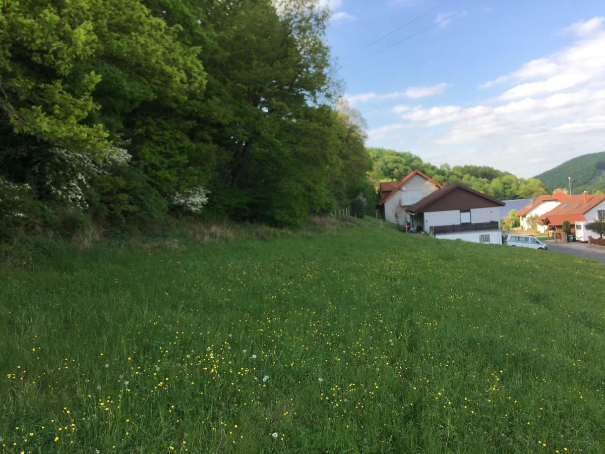 Ferienhaus Moscheltal Villa Waldgrehweiler ภายนอก รูปภาพ